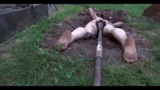 ถ้ำมอง,ซ่อน,ห้องน้ำ,รัสเชีย, ดู หนัง โป้ วีดีโอ